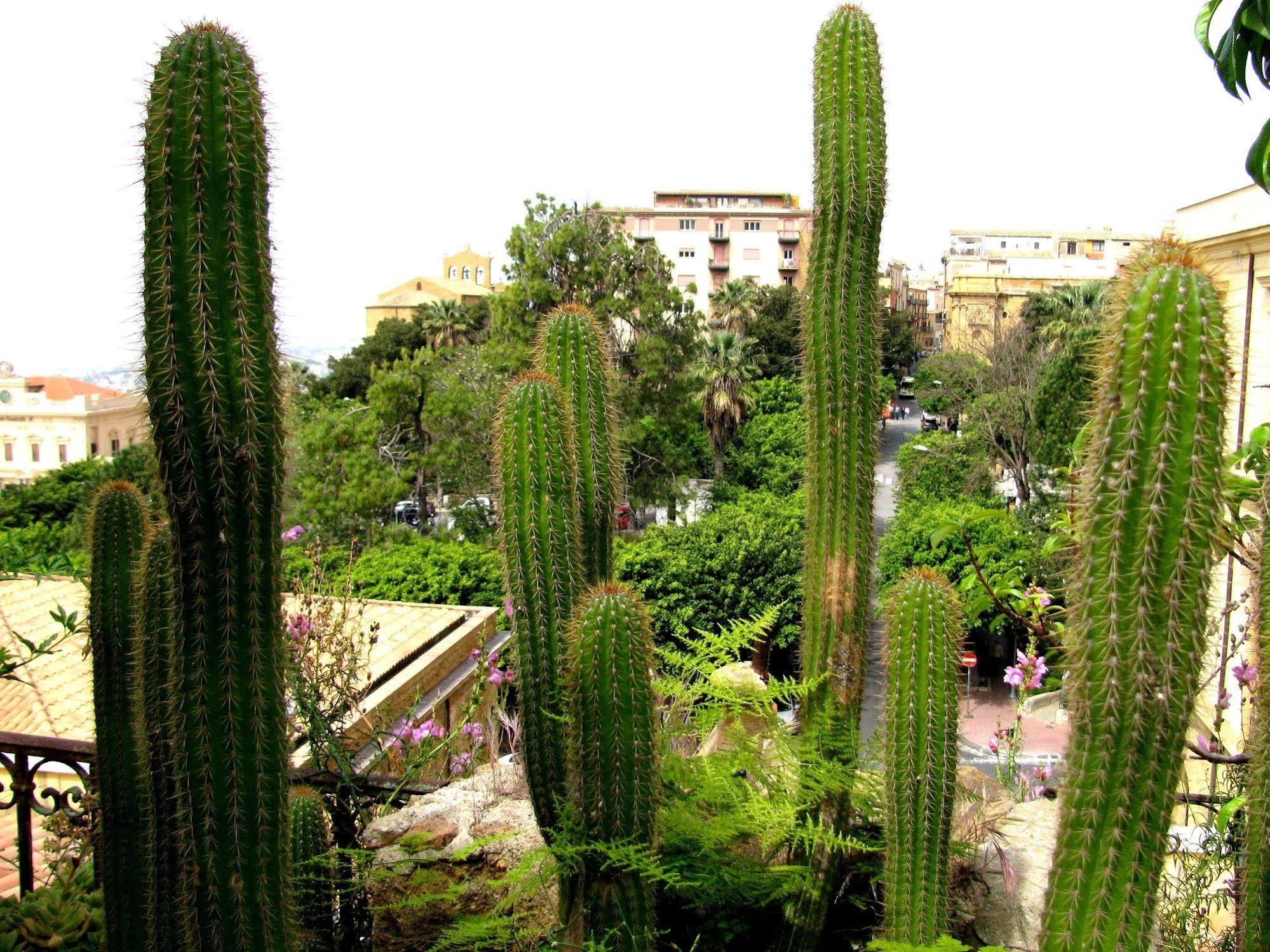 Bed & Breakfast Le Palme Agrigento Eksteriør bilde